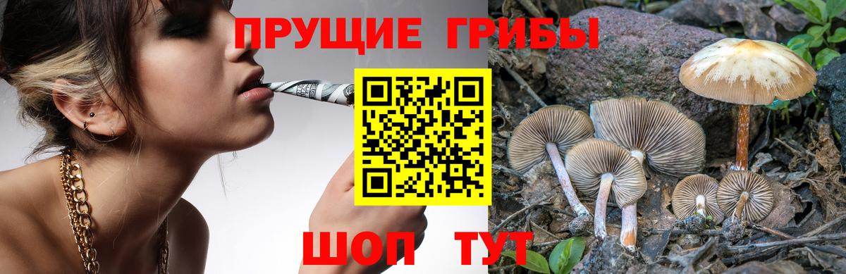 Псилоцибиновые грибы прущие грибы Родники
