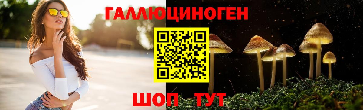 Родники  Галлюциногенные грибы Cubensis  Вход с VPN 